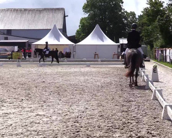 Reitturnier Sörup 2024