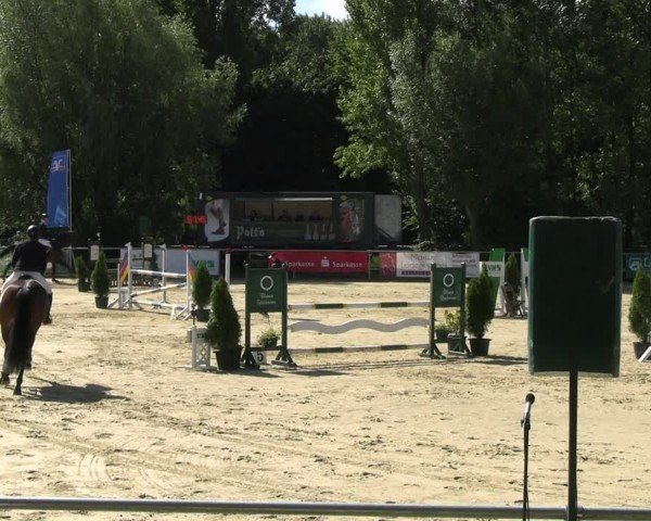 Reitturnier Oelde 2024