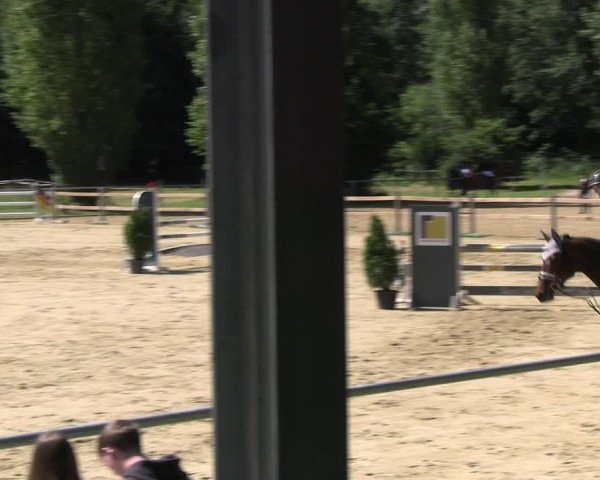 Reitturnier Oelde 2024