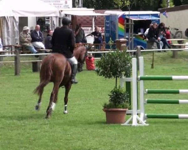 Gardelegen 2012