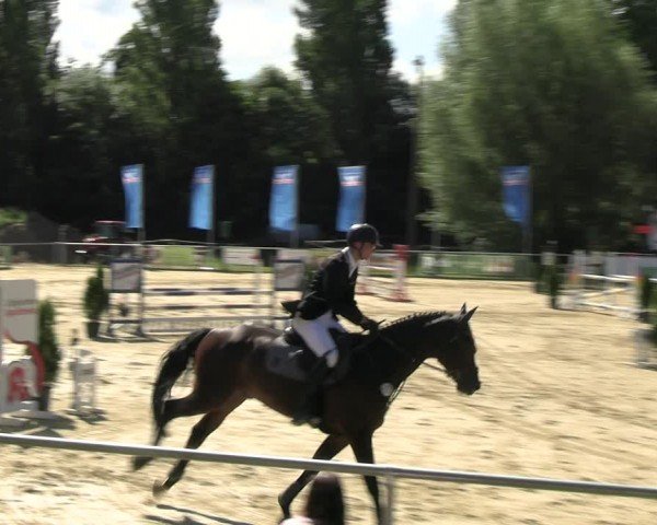 Reitturnier Oelde 2024