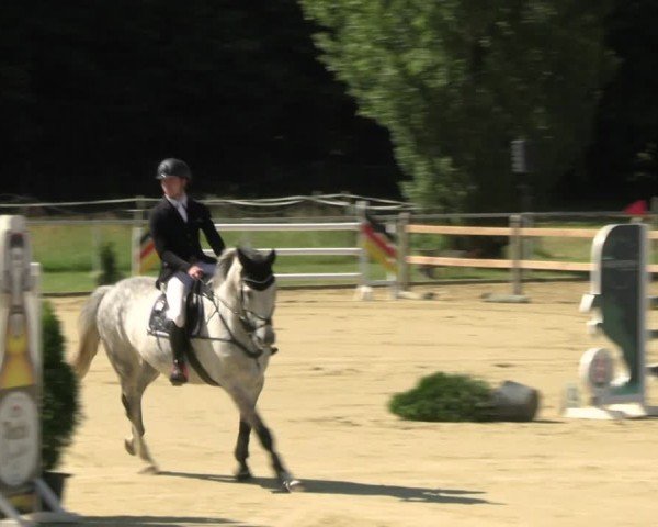 Reitturnier Oelde 2024