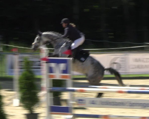 Reitturnier Oelde 2024