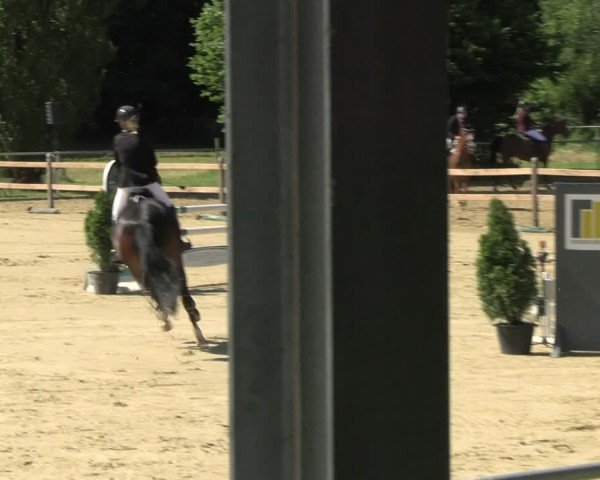 Reitturnier Oelde 2024