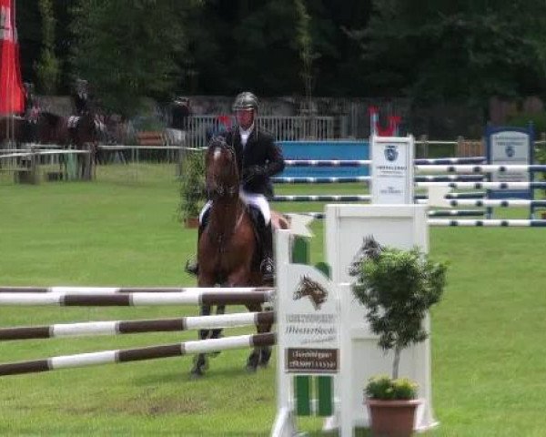 Gardelegen 2012