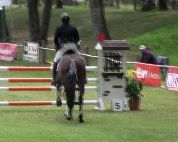 Gardelegen 2012