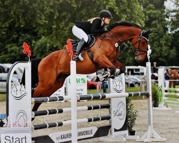 jumper Pirano 9 (Oldenburg, 2015, from Priano)