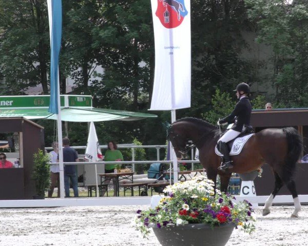 Reitturnier Taufkirchen-Vils/Obb. 2024