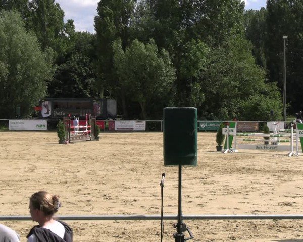 Reitturnier Oelde 2024
