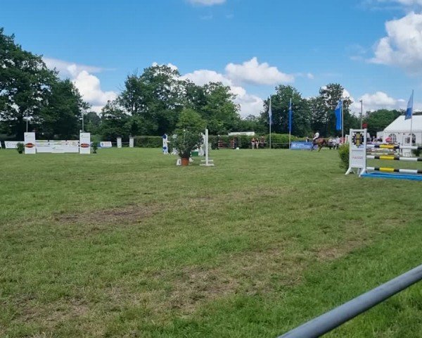 Reitturnier Stadthagen 2024