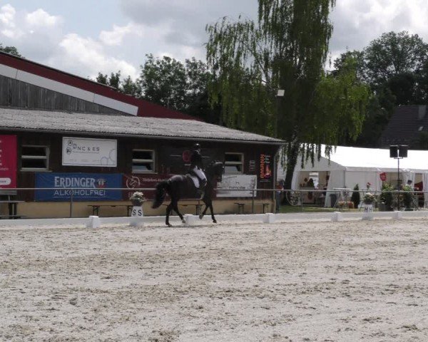 Reitturnier Taufkirchen-Vils/Obb. 2024