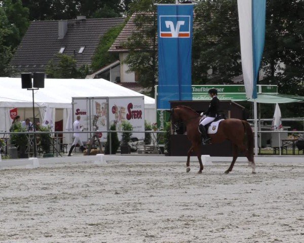 Reitturnier Taufkirchen-Vils/Obb. 2024
