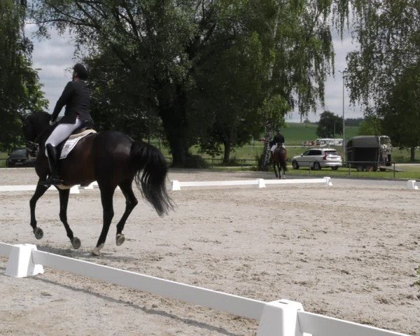 Reitturnier Taufkirchen-Vils/Obb. 2024