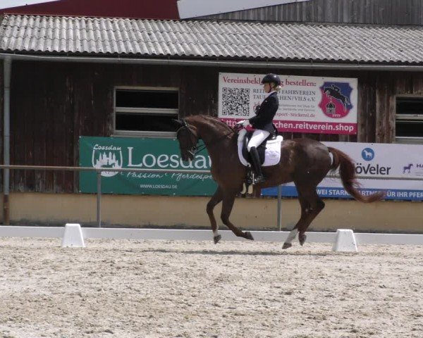 Reitturnier Taufkirchen-Vils/Obb. 2024