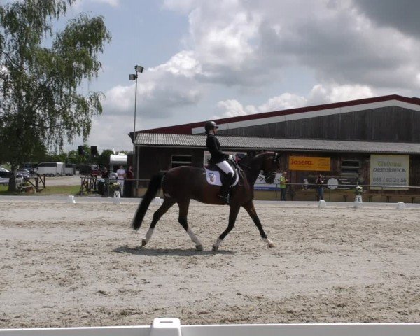 Reitturnier Taufkirchen-Vils/Obb. 2024
