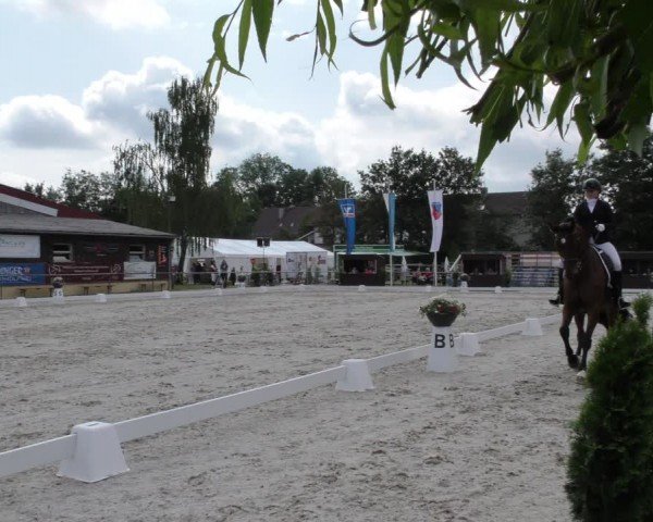 Reitturnier Taufkirchen-Vils/Obb. 2024