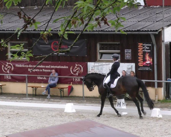 Reitturnier Taufkirchen-Vils/Obb. 2024