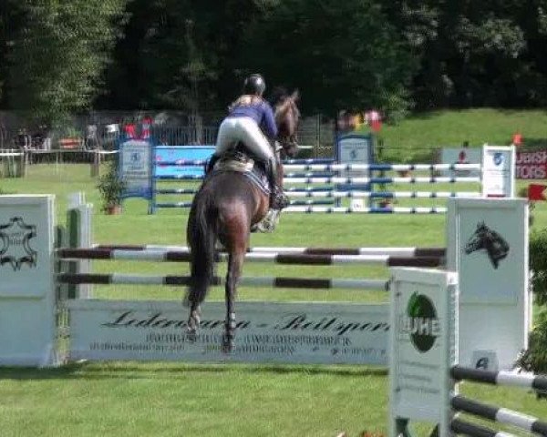 Gardelegen 2012