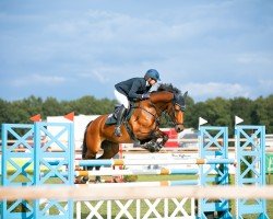 broodmare Cosmic's Seuraaja (Oldenburg show jumper, 2016, from Vancouver d'Auvray)