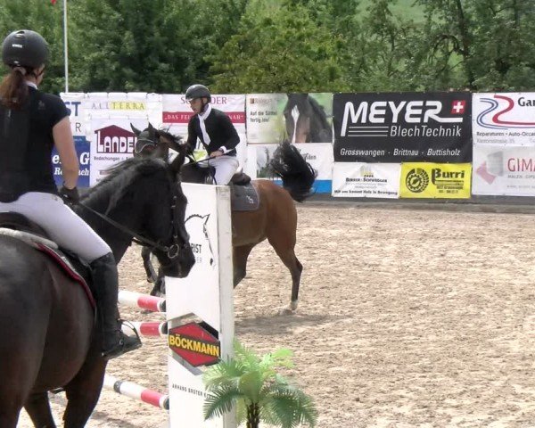 Reitturnier Ruswil 2024