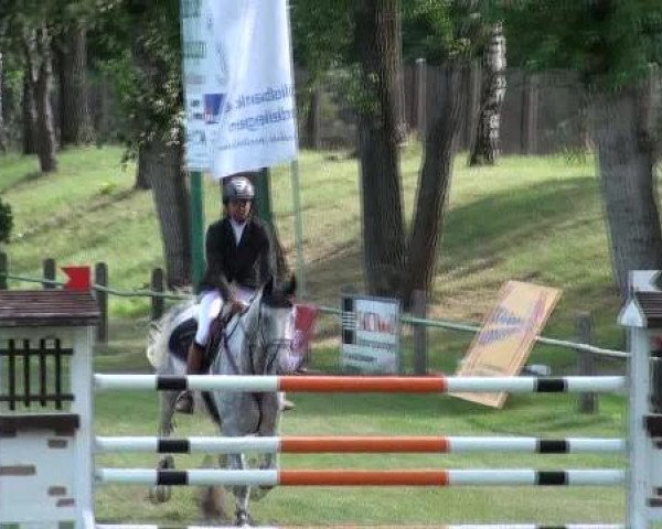 Gardelegen 2012