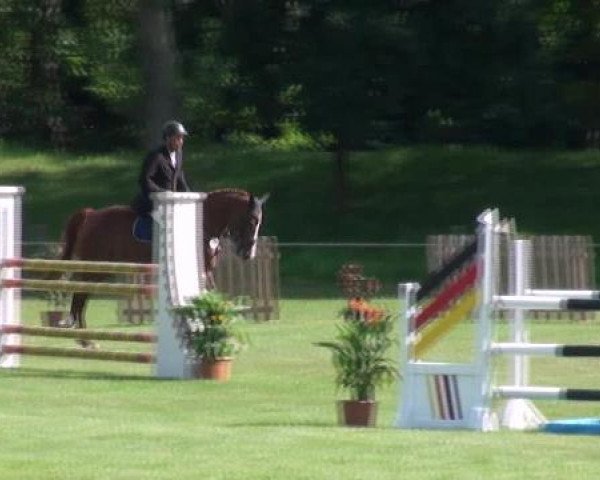 Gardelegen 2012