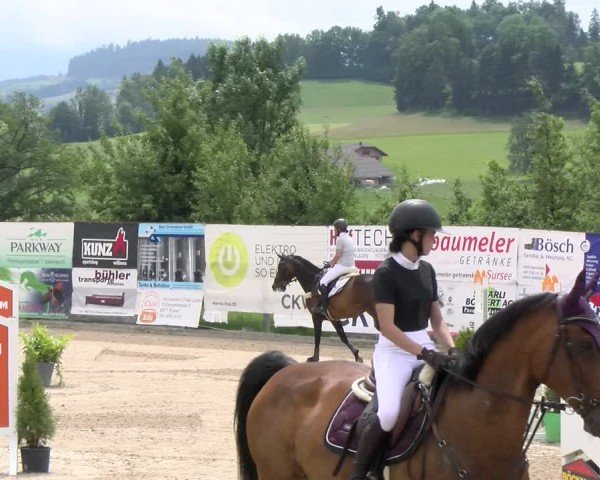 Reitturnier Ruswil 2024