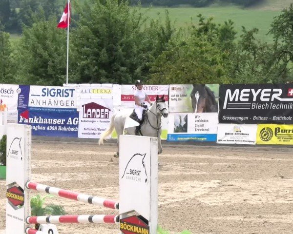 Reitturnier Ruswil 2024