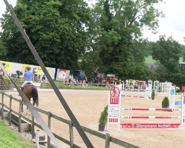 Reitturnier Ruswil 2024