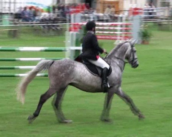 Gardelegen 2012
