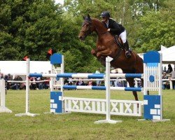 jumper Maximus 64 (unknown, 2007)