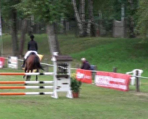 Gardelegen 2012
