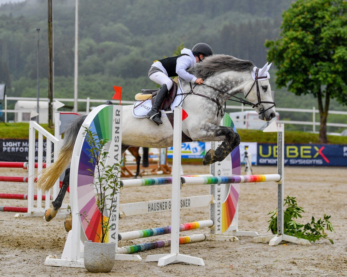 Semental Chin Fly (Holsteiner, 2012, de Chin Champ)
