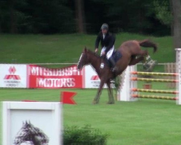 Gardelegen 2012