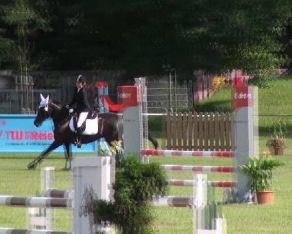 Gardelegen 2012