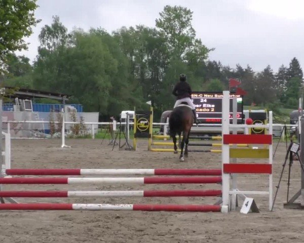Reitturnier Villach/Sumperhof 2023