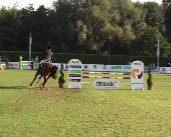 Westfalen-Woche 2012 Münster Handorf
