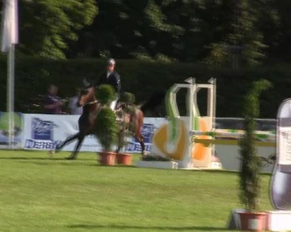 Reitturnier Münster-Handorf 2012