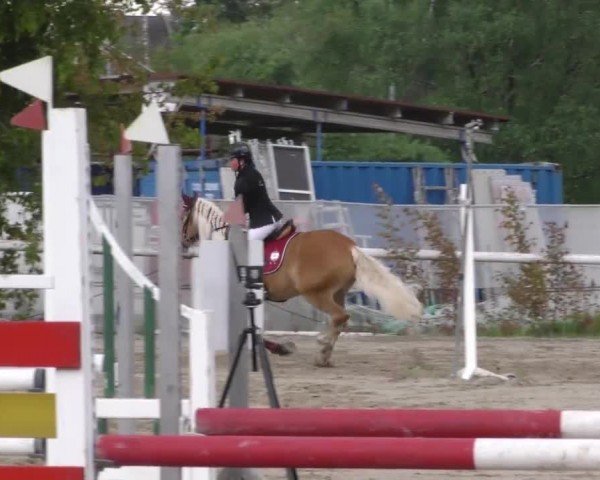 Reitturnier Villach/Sumperhof 2023
