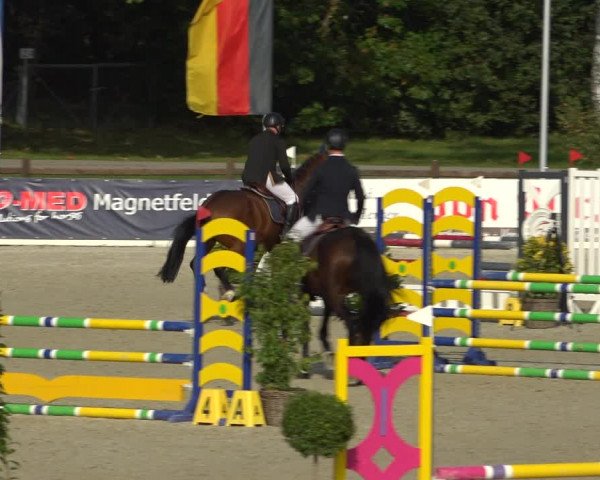 Reitturnier Westergellersen 2021