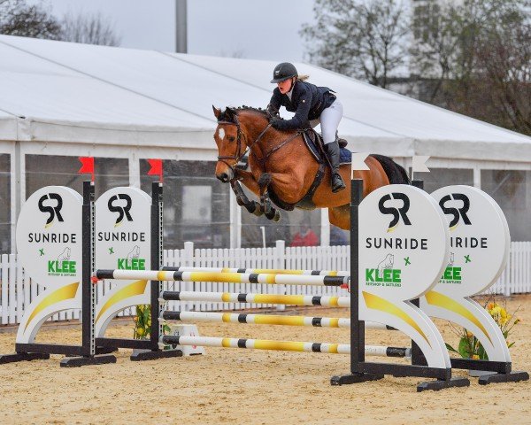Springpferd Milou 11 (Holsteiner, 2018, von Million Dollar)