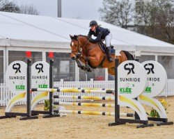 Springpferd Milou 11 (Holsteiner, 2018, von Million Dollar)