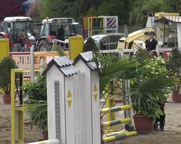 Reitturnier Ranftlhof 2024