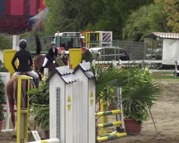 Reitturnier Ranftlhof 2024