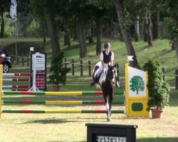 Gardelegen 2012