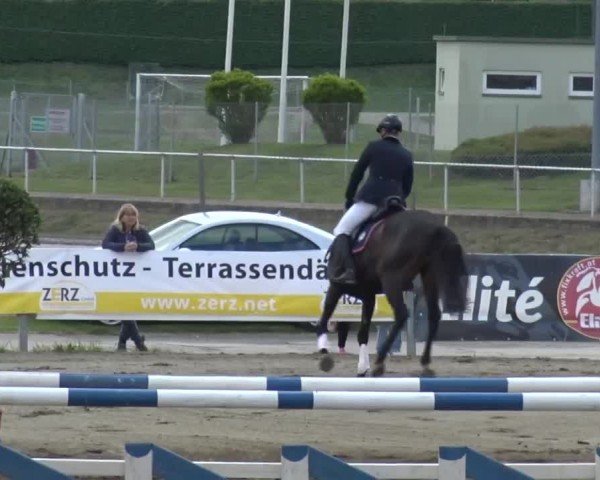 Reitturnier Ranftlhof 2024