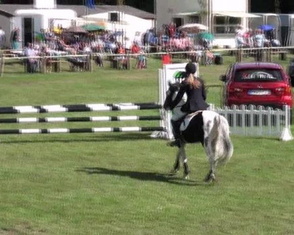 Gardelegen 2012
