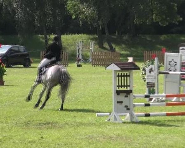 Gardelegen 2012