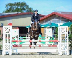 jumper Konstanze (Hanoverian, 2016, from Kannan)