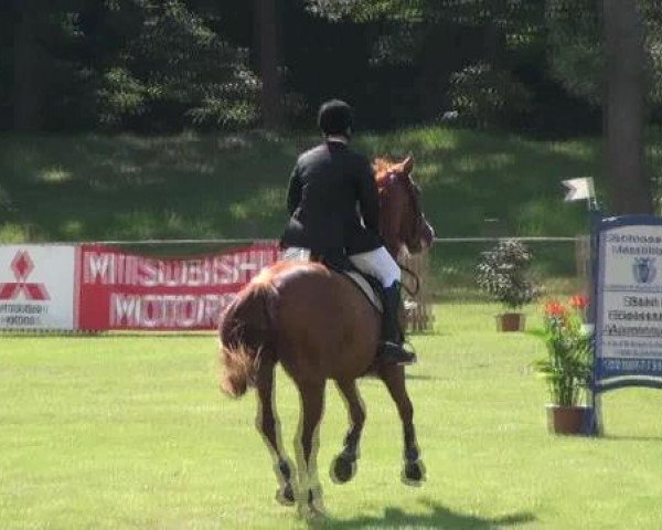 Gardelegen 2012